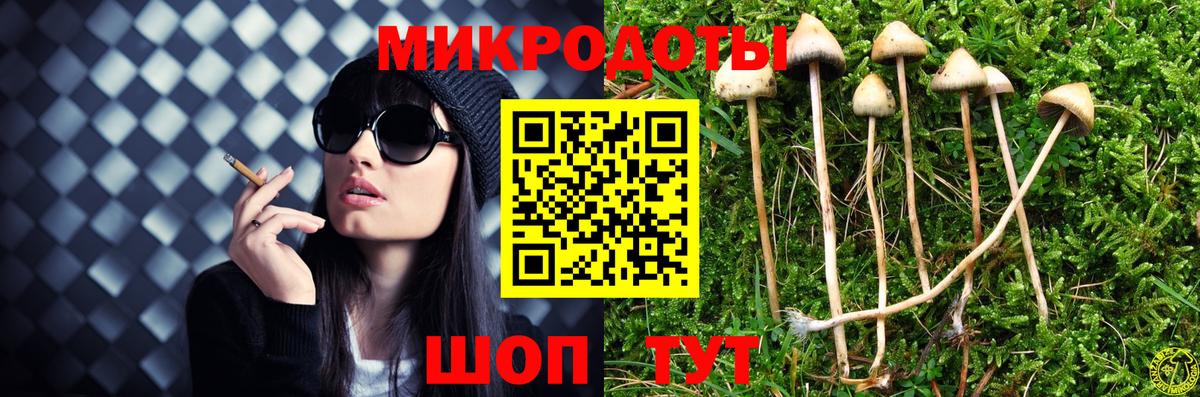 Псилоцибиновые грибы Cubensis Кунгур